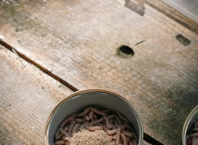 Maden in de keuken