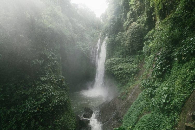 inpaklijst indonesie