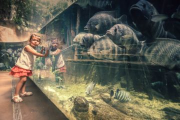 kinder musuem